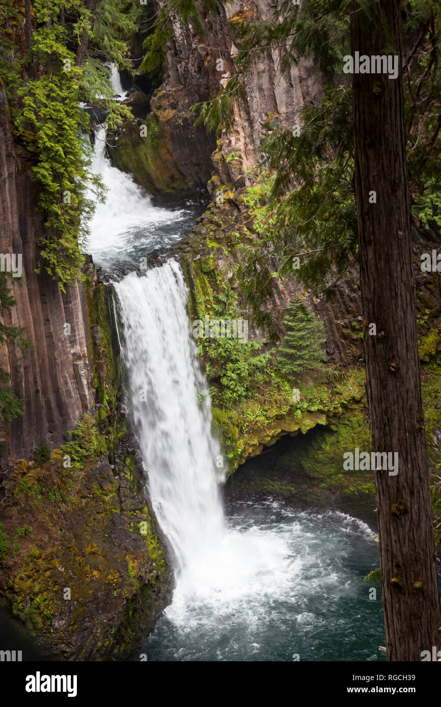 The North Umpqua River flowing over three tiers of columnar basalt rockto create Toketee Falls in Oregon. Stock Photo