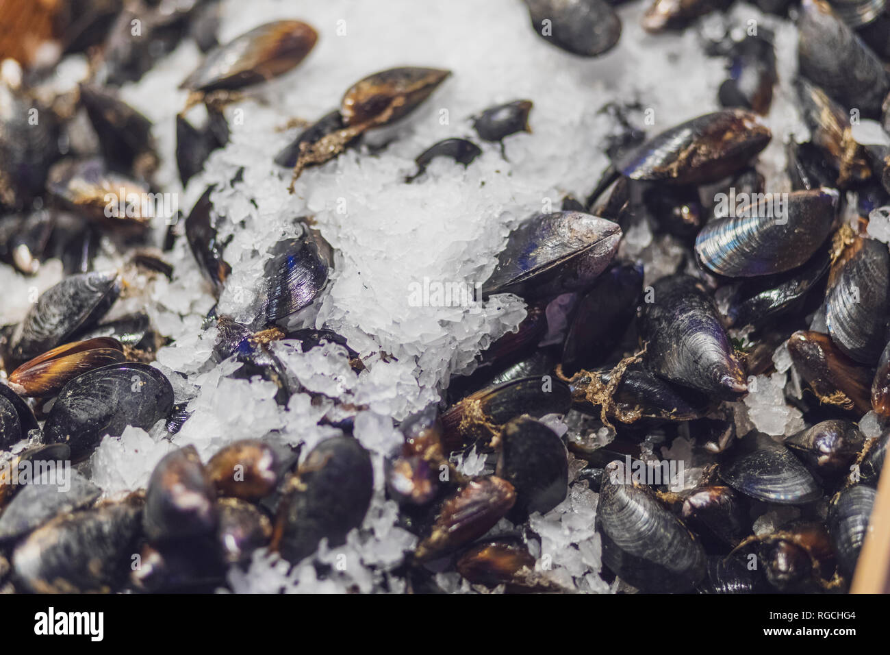 USA, Seattle, Pike Place Public Market, blue mussels in ice Stock Photo
