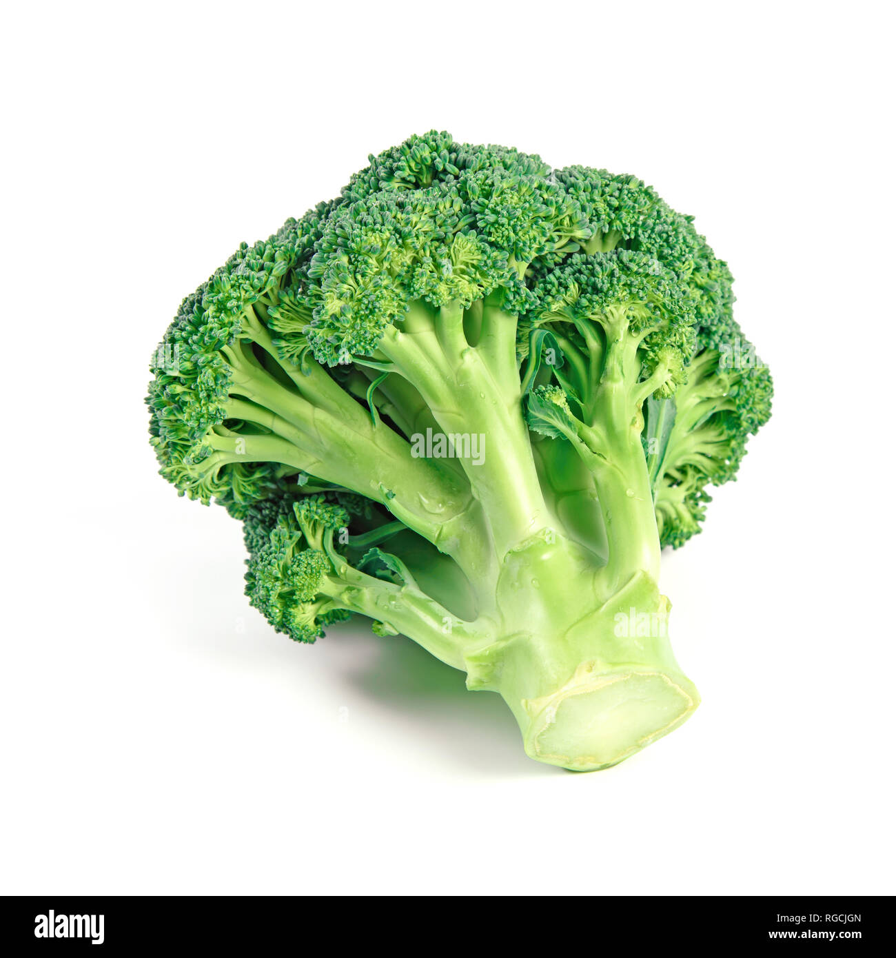 Raw Fresh Broccoli as Healphy Food Isolated on White Background Stock Photo