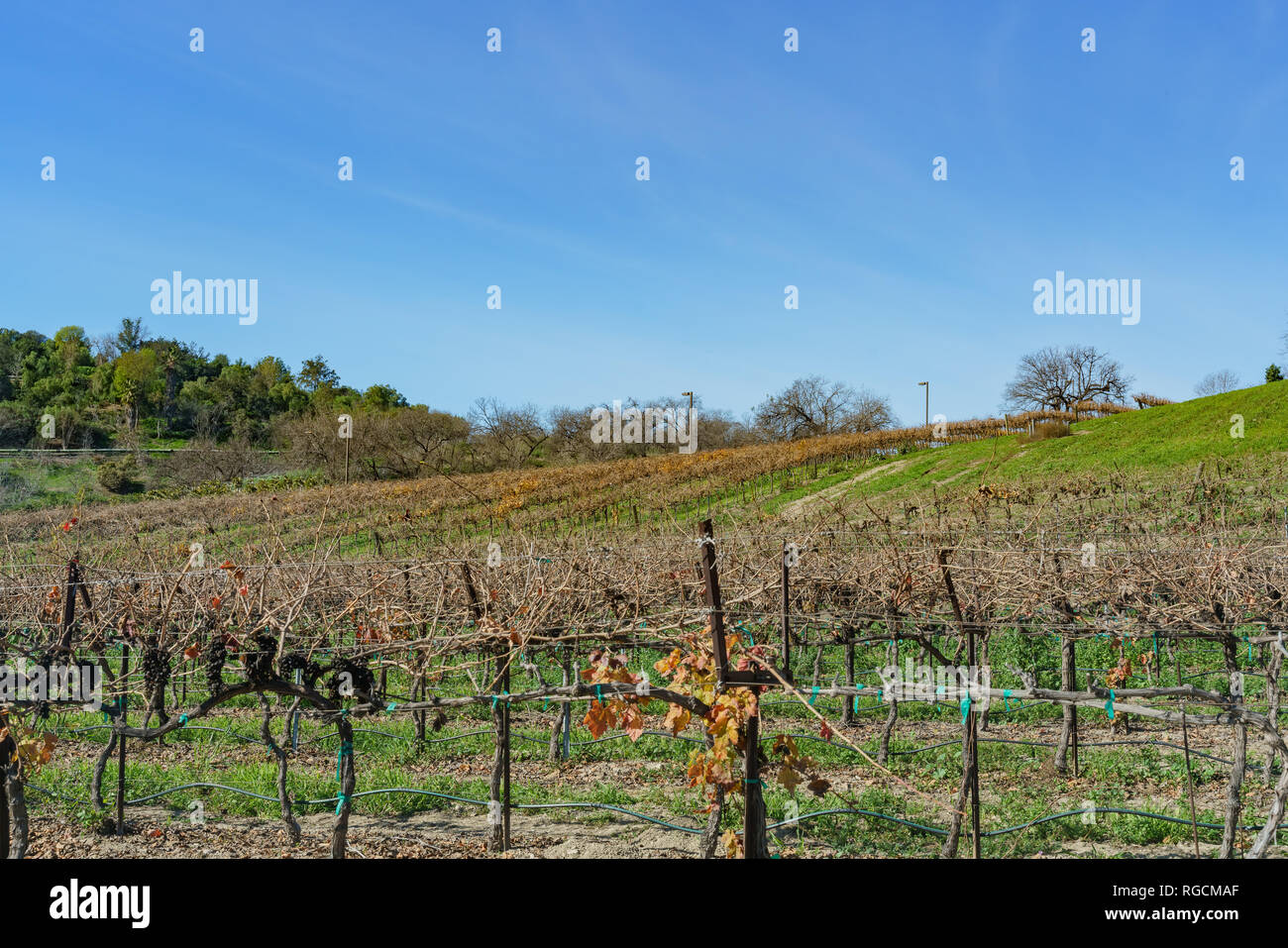 Exterior view of a farm of Cal Poly Pomona at Los Angeles County