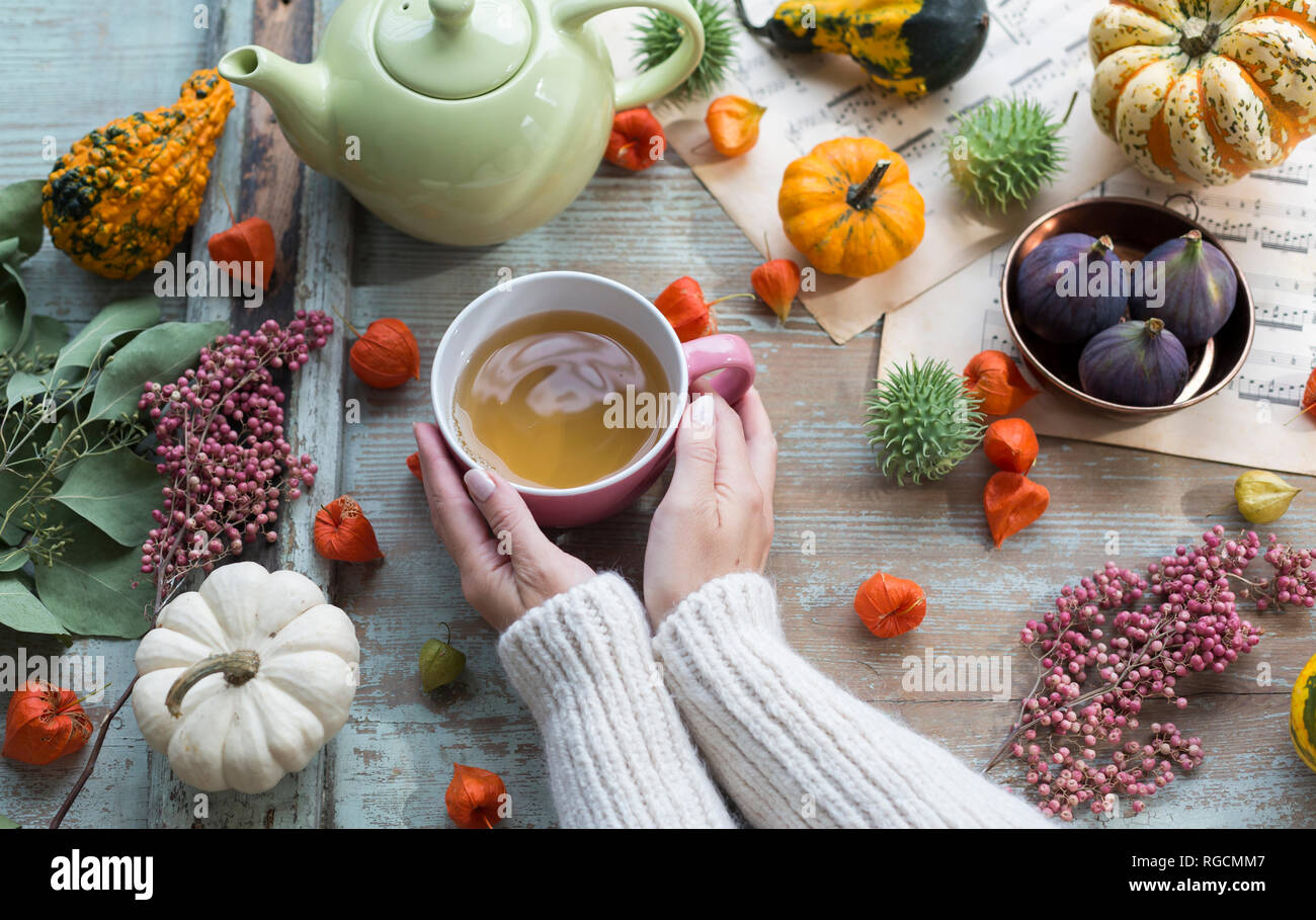 Woman warming her hands on cup of tea in autumn Stock Photo