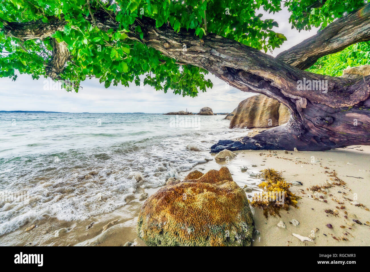 Indonesia, Riau Islands, Bintan, beach Stock Photo