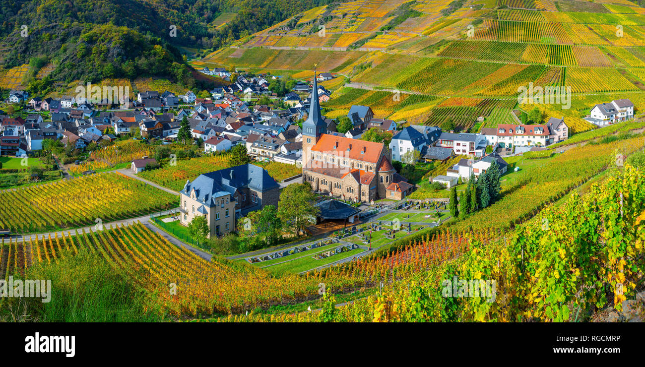 Weinberge im Herbst, MayschoÃŸ, Ahrtal, hier wird Rotwein der Spaetburgunder und Portugieser Traube angebaut, Rotweinanbaugebiet, Eifel, Rheinland-Pfa Stock Photo