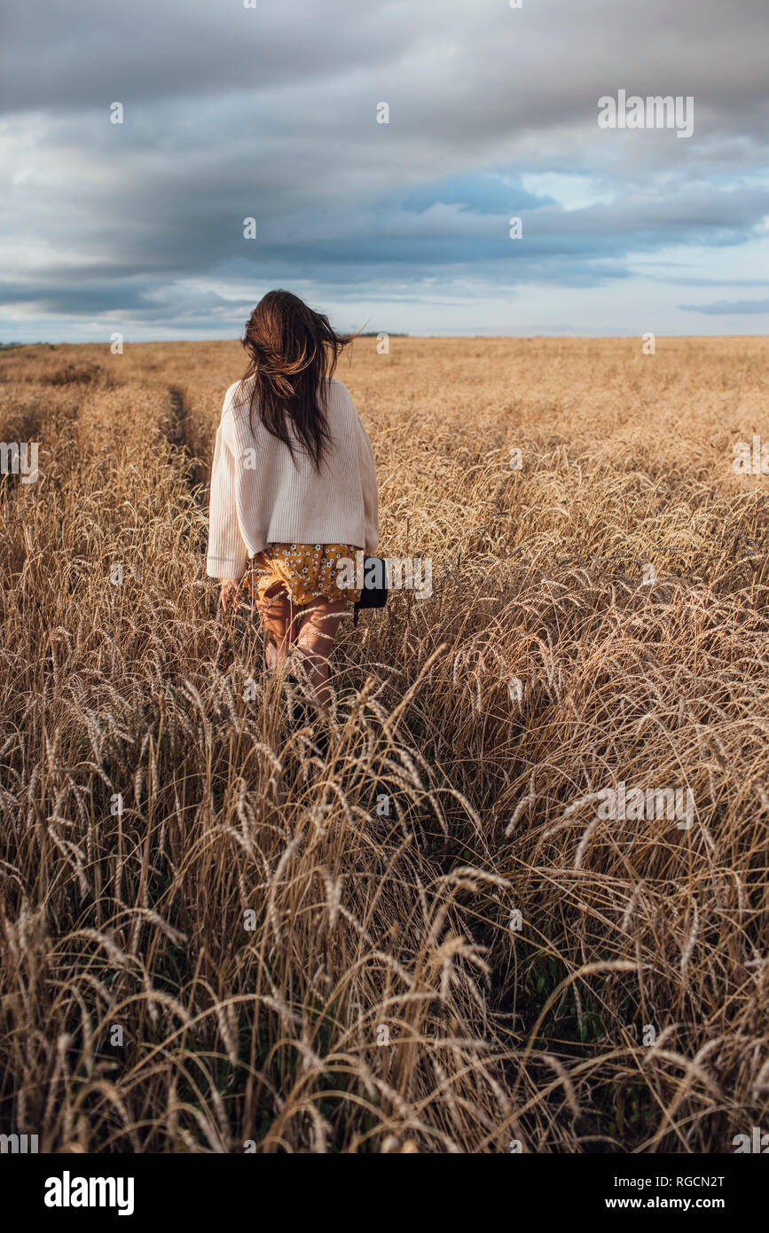 Back view of young woman walking in corn field Stock Photo