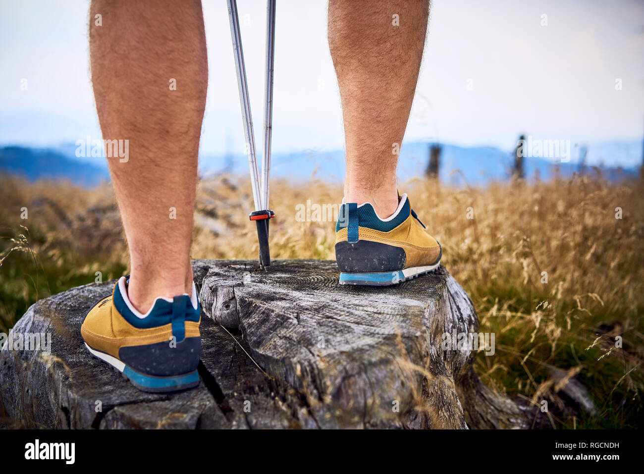 Close-up of man standing on tree stump during hiking trip Stock Photo