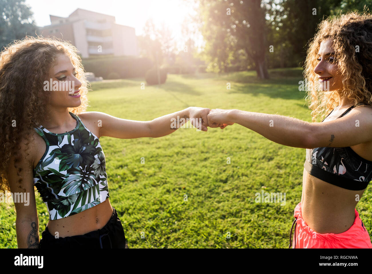 Twin sisters bro greeting in a park Stock Photo