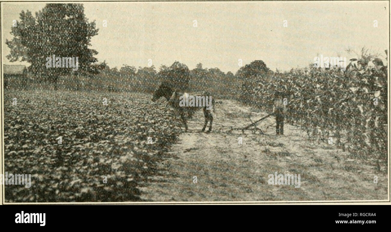 New fertilization iv hires stock photography and images Alamy