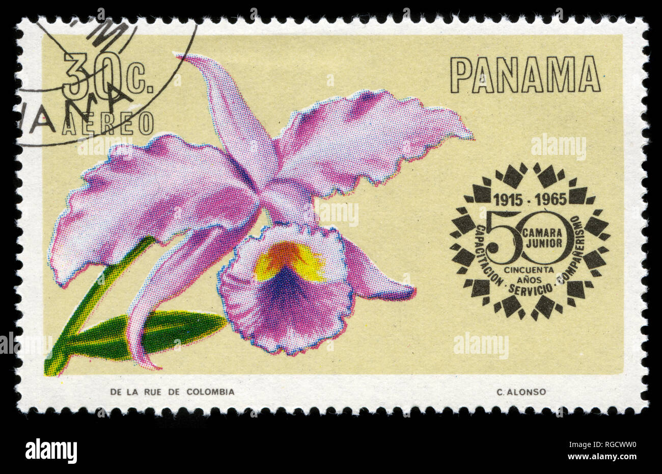 Postage stamp from Panama in the Flowers: Chamber of Commerce, 50th Anniv. series issued in 1966 Stock Photo