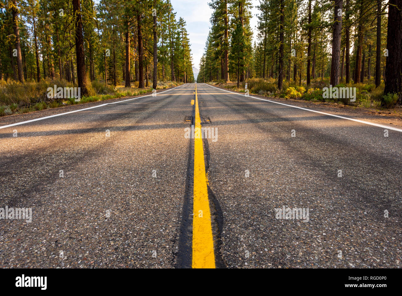Shot of an empty two-lane road that goes in the middle of the forest. Stock Photo