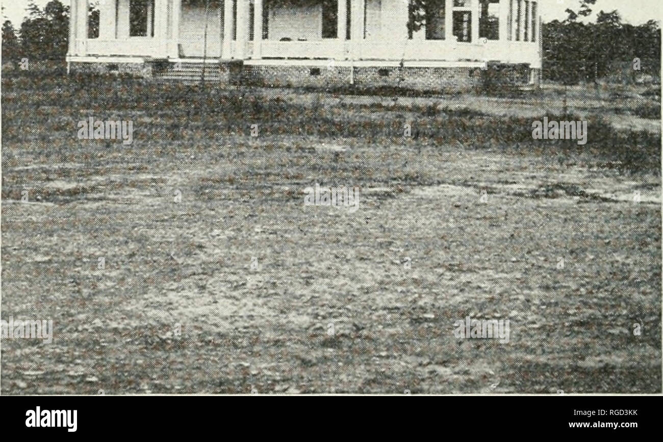 . The Bulletin of the North Carolina Department of Agriculture. Agriculture -- North Carolina. rri'^iiCTiraiEi. Fig. 4.—A typical modern farm home. successfully produced. Corn yields from 15 to 40 bushels, cotton 14 to 1 bale, oats 10 to 65 bushels, and cowpeas I/2 to 1 ton of hay per acre. Clovers do well where lime is applied and inoculation is given the seed or soil. Apples, peaches, pears, and figs give fair returns. This soil, owing to its good clay foundation, is capable of high improvement by turning under green manuring crops or barnyard manure and by deeper plowing, together with the  Stock Photo