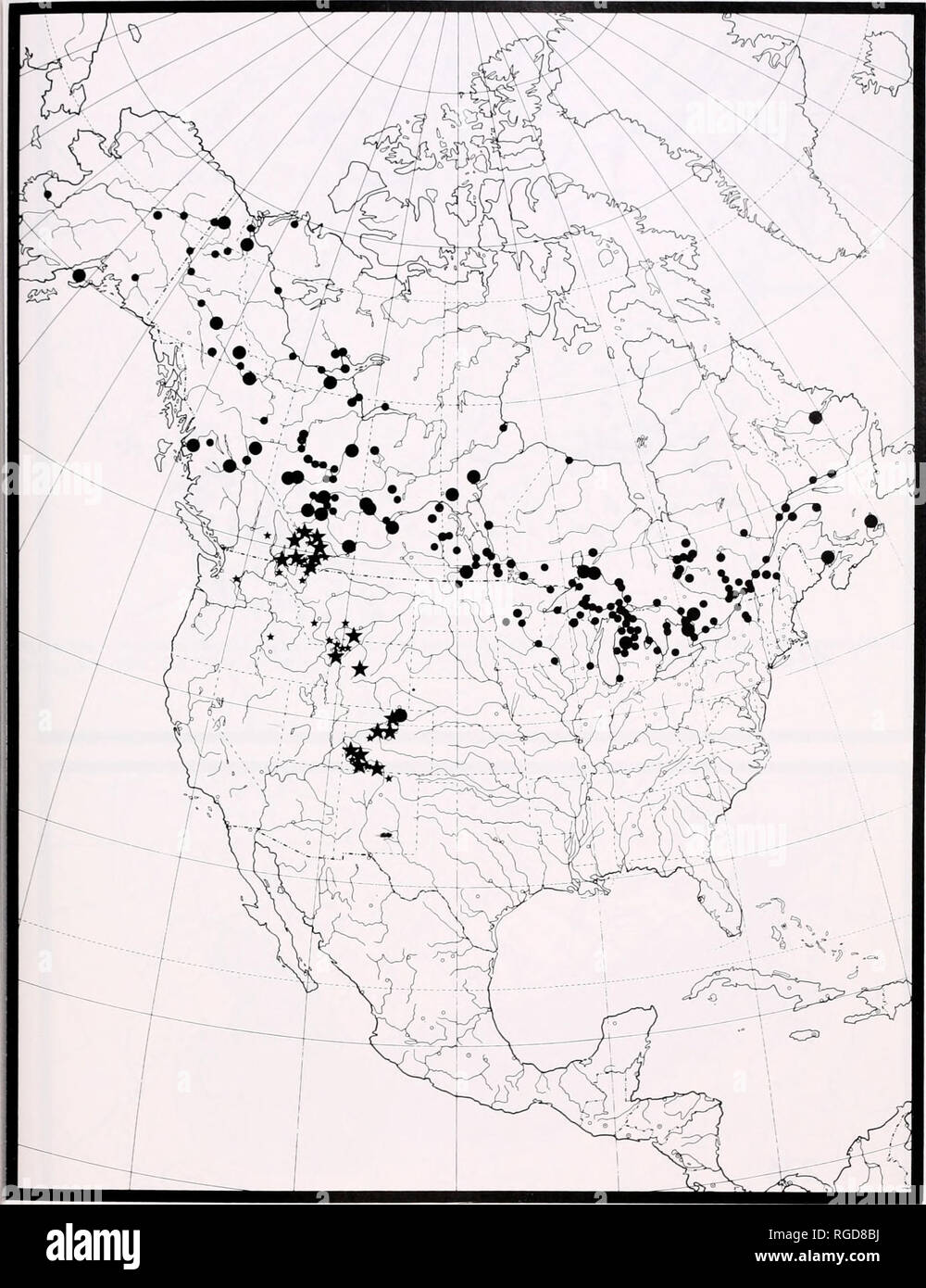 . Bulletin of the Museum of Comparative Zoology at Harvard College. Zoology. Bembidion Systematic ;s • Maddison 285. Figure 272. Geographic distribution of B. levettei. B. levettei levettei (stars) and B. levettei carrianum (dots). Localities of specimens identified using male genitalia indicated by larger symbols.. Please note that these images are extracted from scanned page images that may have been digitally enhanced for readability - coloration and appearance of these illustrations may not perfectly resemble the original work.. Harvard University. Museum of Comparative Zoology. Cambridge, Stock Photo