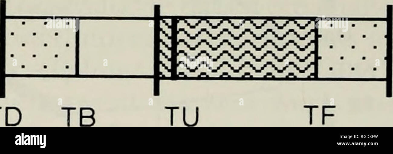 . Bulletin of the Museum of Comparative Zoology at Harvard College. Zoology. Palatal Anterior ^ I Movemen Movement in SO (01, 01+02) Figure 2. The trajectory, shown as loops, of anterior (ATIVI), middle (MTM), and posterior (PTM) tongue markers, and the hyoid, in opossum, (a) Lapping (a low-amplitude jaw move- ment without FO or FC): (b) stage I transport (movement of food from an extraoral position or from the front of the oral cavity to the molar region); (c) chewing (processing) cycles where food has to be repositioned on the occlusal surfaces of the postcanines (manipulation); and (d) stag Stock Photo
