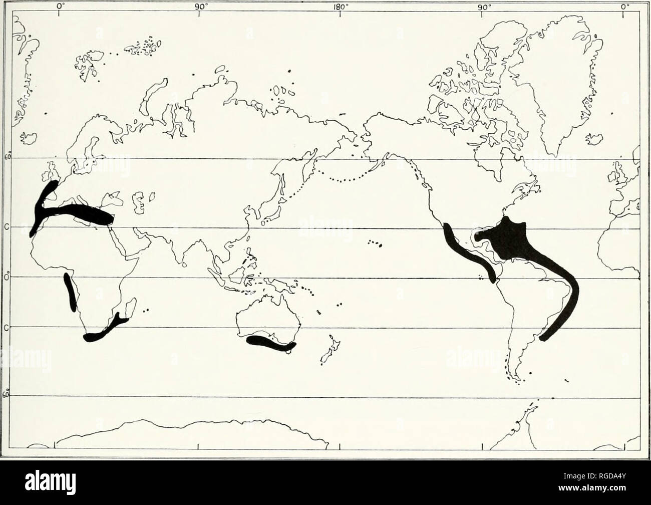 . Bulletin of the Museum of Comparative Zoology at Harvard College. Zoology. South African Tellina • Boss 121. Map 4. The distribution of species of Eurytellina. The species include: in South Africa, o/fredens/s and prismatica; in West Africa, madagascariensh; in Australia, albmella and roseola; In the northeastern Atlantic Ocean and Mediterranean Sea, incarnafo; in the western Atlantic, pun/ceo and allies [alternata, tayloriana, angulosa, nitens, trinitatis, guildingii, vespuci- ona, and lineata); and, in the eastern Pacific, slmulam and allies (/ocer;dens, hertteini, laplata, eburnea, rubesc Stock Photo