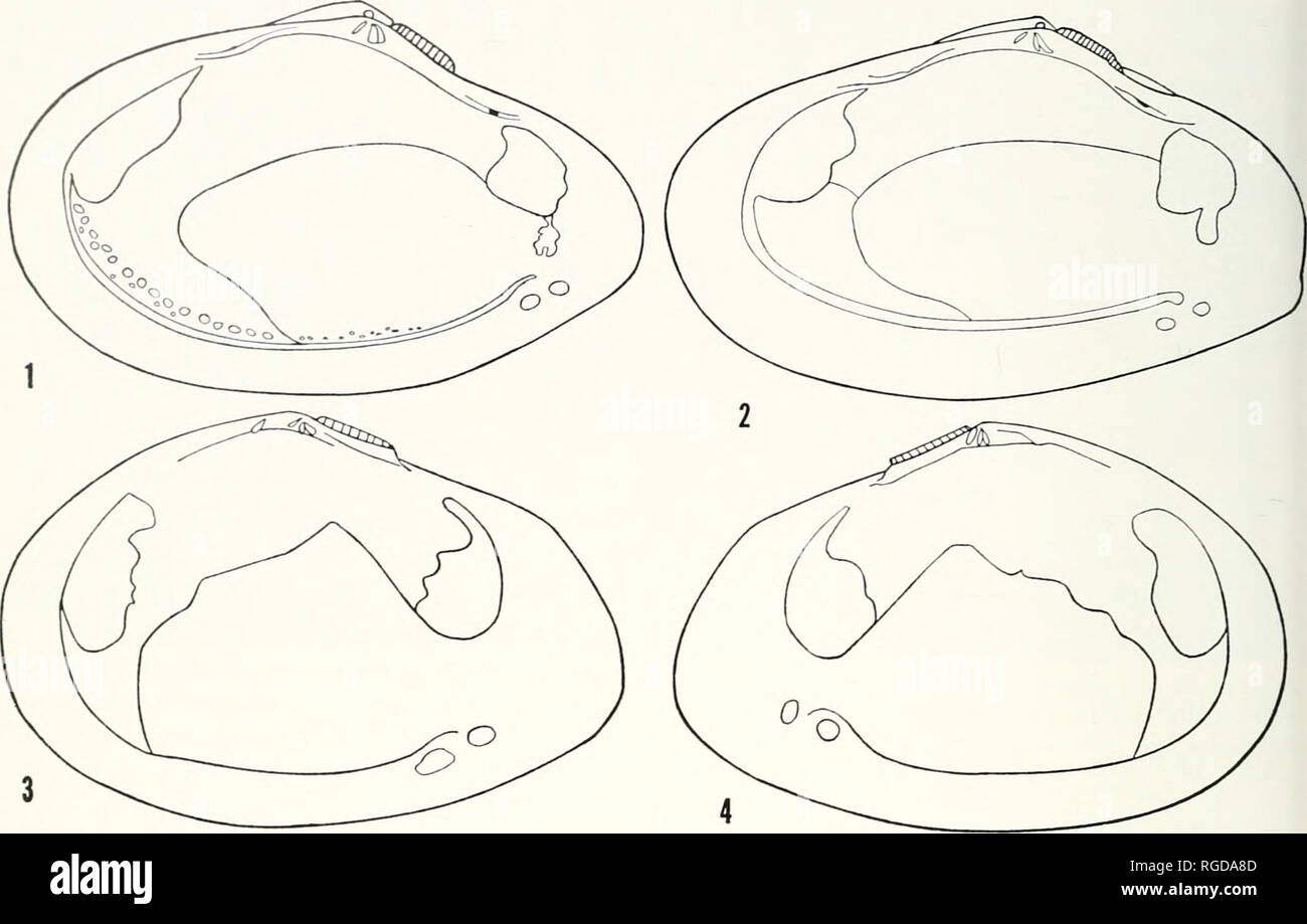 . Bulletin of the Museum of Comparative Zoology at Harvard College