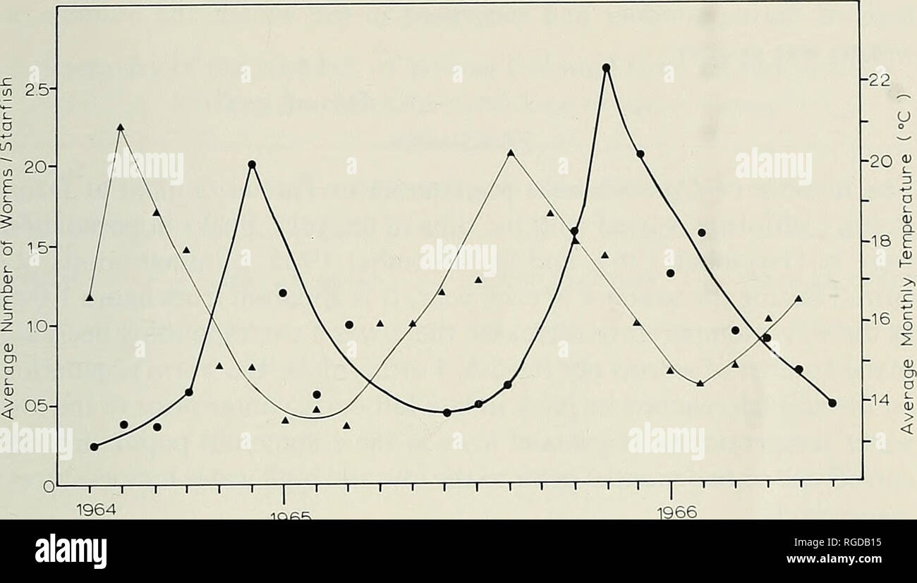 . Bulletin of the Southern California Academy of Sciences. Science; Natural history; Natural history. Studies on Commensal Polychaetes 107. Figure 1. The relationship between the seasonal occurrence of Ophiodromus pugettensis (on Patiria miniata (dots) to water temperature (triangles) from July 1964 through June 1966. were noted: worms collected during the winter months averaged from 12.0 to 17.0 mm in length as compared to 6.5 to 9.0 mm in length during the summer months. Population changes of Ophiodromus pugettensis on Patiria miniata A total of 385 starfish was marked, of which 152, or 39.5 Stock Photo