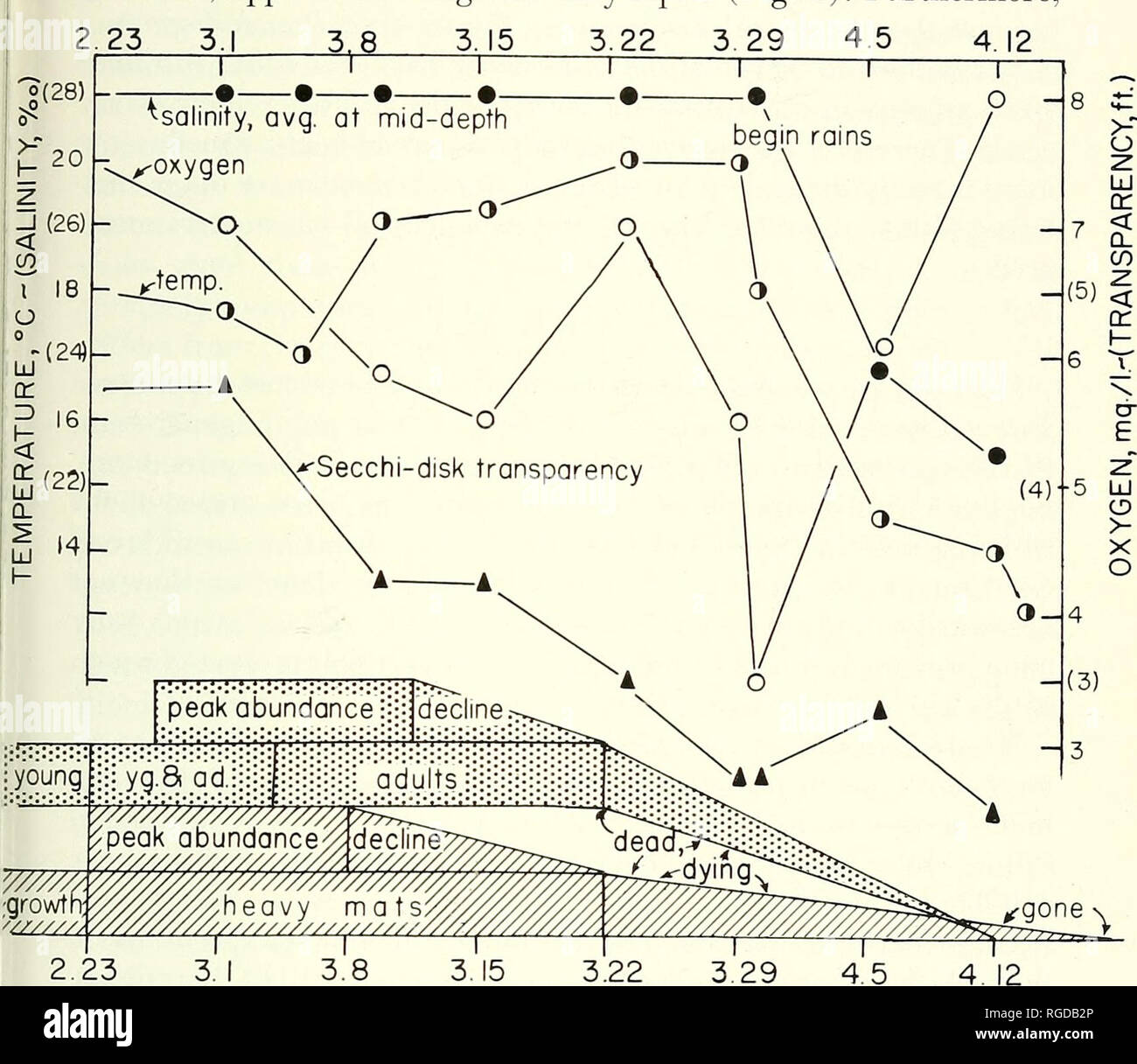 Graviditet dating diagram