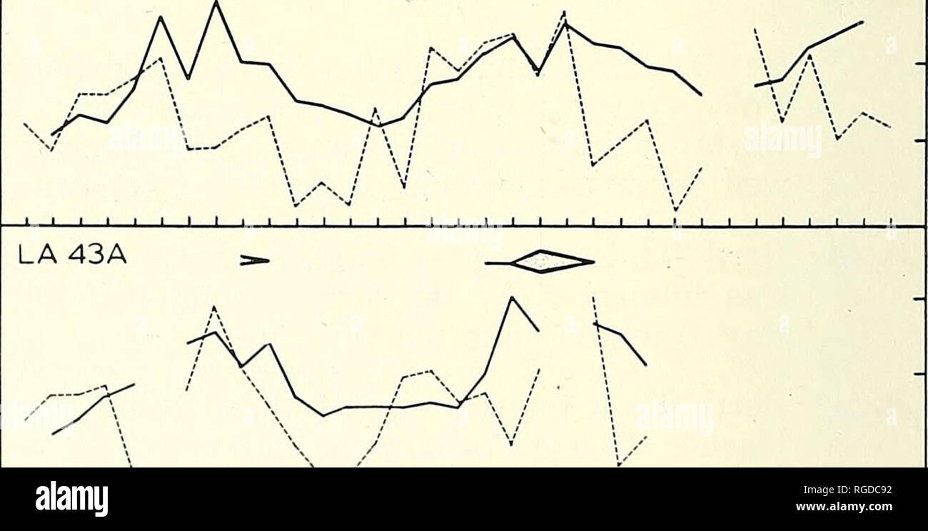 . Bulletin of the Southern California Academy of Sciences. Science; Natural history; Natural history. •^DO. LB 11 LA 39. 1956 W 1957 -H PLATE 4 Seasonal settlement of H. norvegica in relation to temperature and dissolved oxygen during 1956-1958 at stations LA 7, LB 11, LA 39, and LA 43 A. Scale for volume of H. norvegica and additional explanations as in Plate 3.. Please note that these images are extracted from scanned page images that may have been digitally enhanced for readability - coloration and appearance of these illustrations may not perfectly resemble the original work.. Southern Cal Stock Photo