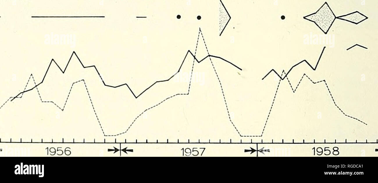 . Bulletin of the Southern California Academy of Sciences. Science; Natural history; Natural history.  i 1 I I I i   l I I  L. LA 54. 1958 PLATE 3 Seasonal settlement of H. norvegica in relation to temperature and dissolved oxygen during 1956-1958 at stations LA 28, LA 31, and LA 54. The scale for the volume of H. norvegica is indicated in the upper left margin. Black dots indicate H. norvegica was present in a small amount. Please note that these images are extracted from scanned page images that may have been digitally enhanced for readability - coloration and appearance of these illustrati Stock Photo