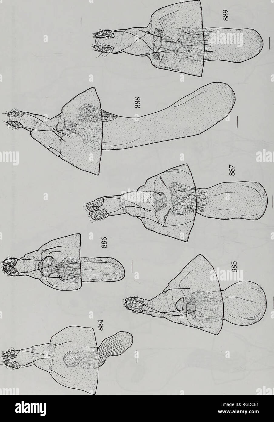 O N B Hi Res Stock Photography And Images Page 170 Alamy O N B Hi Res Stock Photography And Images Page 170 Alamy