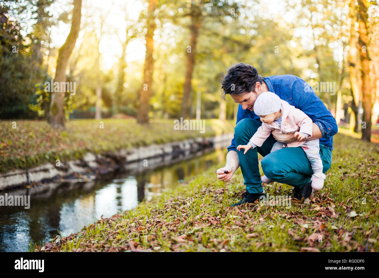 Father searching for chestnuts in park, with baby daughter on his lap Stock Photo