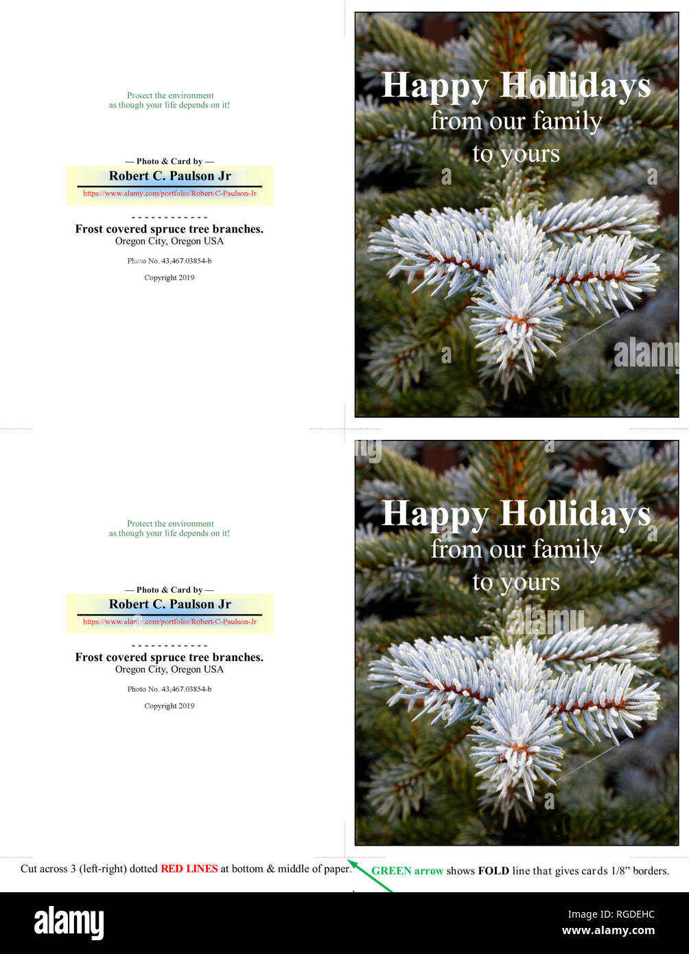 43,467.03854-b HAPPY HOLIDAYS, two 5x4 inch cards, frosty winter green spruce tree needles branches, dark green background, vertical (print cut fold) Stock Photo