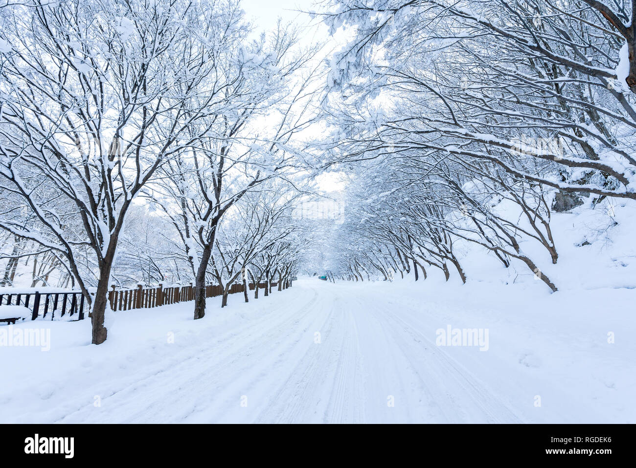 Beautiful winter landscape in  Naejangsan national park, South Korea. Stock Photo