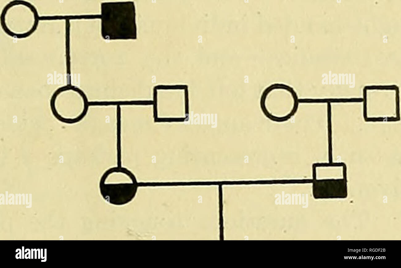 Heredity chart hi-res stock photography and images - Alamy