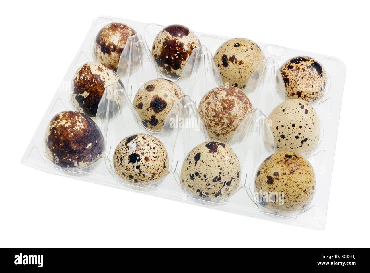 A  twelve fresh quail eggs in a plastic protective container for Easter. Isolated on white with patch studio macro Stock Photo