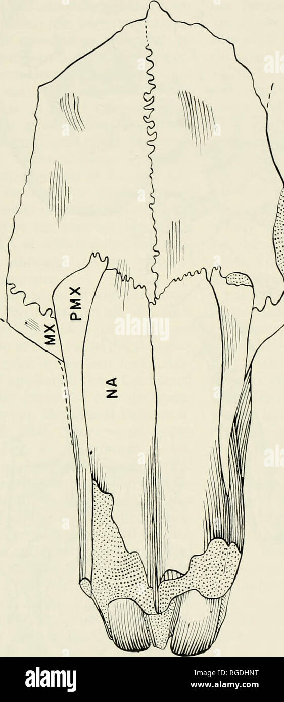 Page 10 C 401 High Resolution Stock Photography And Images Alamy