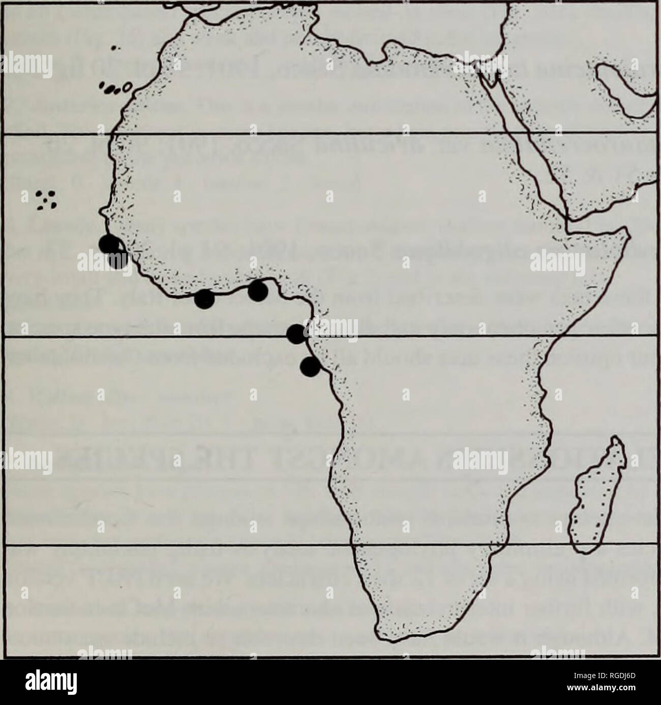 . Bulletin of the Natural History Museum Zoology. Fig. 27 Cardiolucina lamothei (Dautzenberg, 1913) and C. rehderi (Britten, 1972). a, C. kunuthei lies de Los. nr Conakry. Guinea (NMW 1955.158) Left valve. P35.082; b, left valve interior; c, C. rehderi Britton, left valve, Paratype NMNH; d, left valve interior. Scale bar a-d = 1.0mm. DISTRIBUTION. Known only from type material reported on by Britton (1972).. Fig. 28 Geographical distribution of Cardiolucina lamothei (Dautzenberg). Data from Dautzenberg (1913). FOSSIL SPECIES OF CARDIOLUCINA Apart from the description of the type species C. aga Stock Photo
