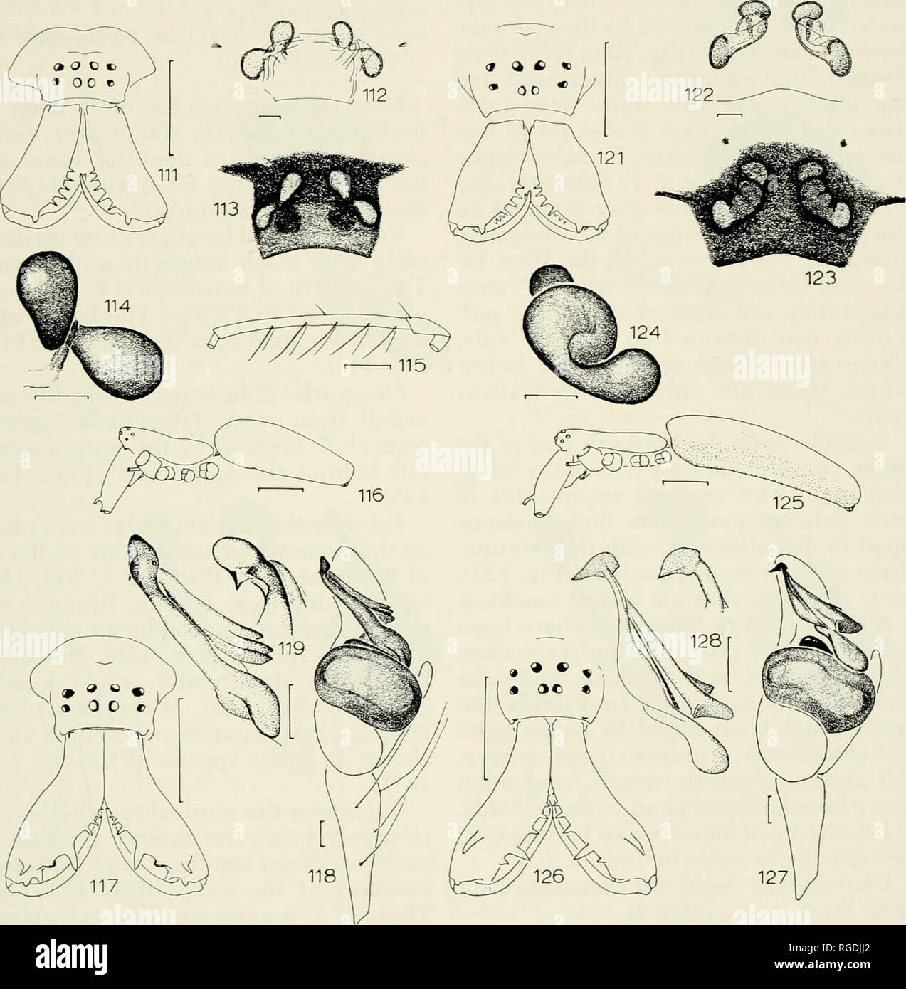 Seminal figures hires stock photography and images Alamy