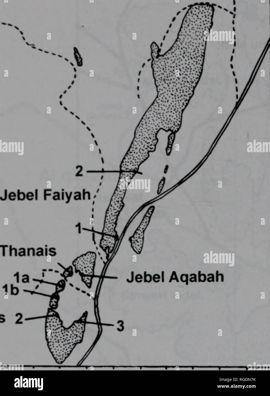. Bulletin of the Natural History Museum Geology. 96 R.C. BARON-SZABO T&quot; Qam Murrah North. Jebel Thanais Jebel Buhays 2 North  1 (Â£ ^t^Â£j  Jebel Rawdah to Al Madam^^^ Wi '^^^ 3 u 'v( â -**&gt; 1 1ââ 1â- 1 1 1 1 1 Fig. 4 Detailed locality map for Qam Murrah and Jebels Buhays, Thanais, Aqabah and Faiyah (upper), and Jebel Rawdah (lower). 1848 Astrocoenia ramosa (Michelin); Milne Edwards &amp; Haime: 298. 1861 Astrocoenia ramosa (Michelin); Fromentel: 233. 1954 Actinastrea ramosa (Michelin); Alloiteau: 53, pi. IV, fig. 3, pi. VIII. fig. 3. 71956 Astro* oenia ramosa (Michelin); Benduki Stock Photo