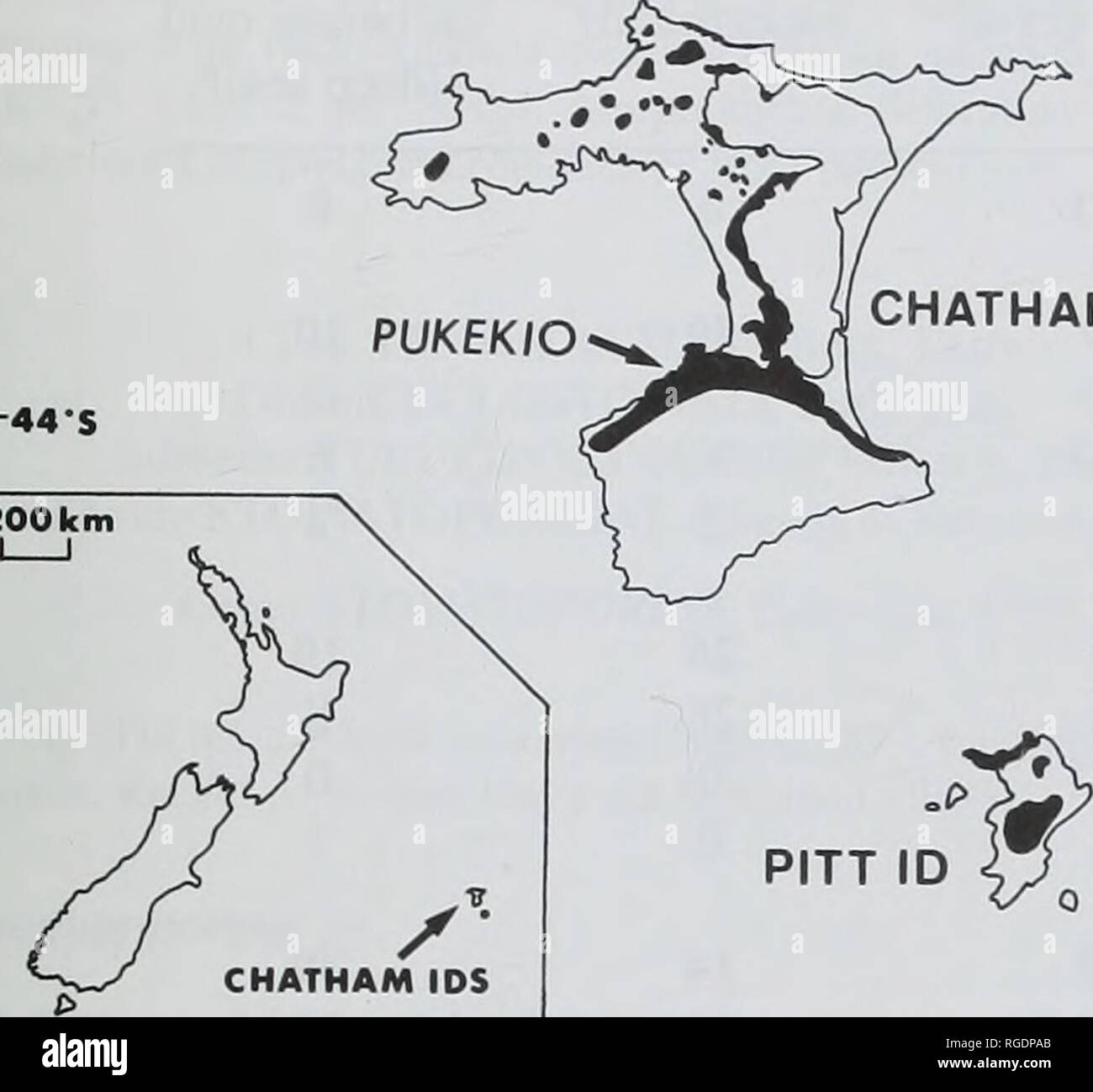 Bulletin Of The Natural Histort Museum Geology Series Bryozoans From Chatham Island I I77w I76 Quot W 10 Km I I Chatham Id 44 S 300 Km Jj Fig 1 Simplified Map Of The