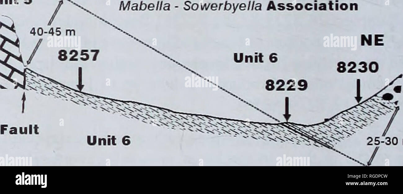 . Bulletin of the Natural Histort Museum. Geology series. 8227-80 8227-40 8227-10 Units 36 m &quot;&quot;* Unit 4 /&quot;/ Unit 3 Unit 2 I Fault Mabella - Sowerbyella Association Unit 1 0 20 40 60 80 100. Unit 6 DEVONIAN Conglomerate UPPER ORDOVICIAN Dulankara Formation &gt;*•*•* Conglomerate, pebbly, polymict Anderken Formation I I Siltstone and mudstone oa Limestone, massive micritic pep|pe|| Limestone, algal, :g^$&lt;a nodular Siltstone --vr^jH Intercalating sandstone r-r-:-r-:-T:'-r and siltstone Sandstone, cross-bedded — -^ Sandstone, bedded. Sandstone 252J Conglomerate, pebbly, JoVoVoj Stock Photo