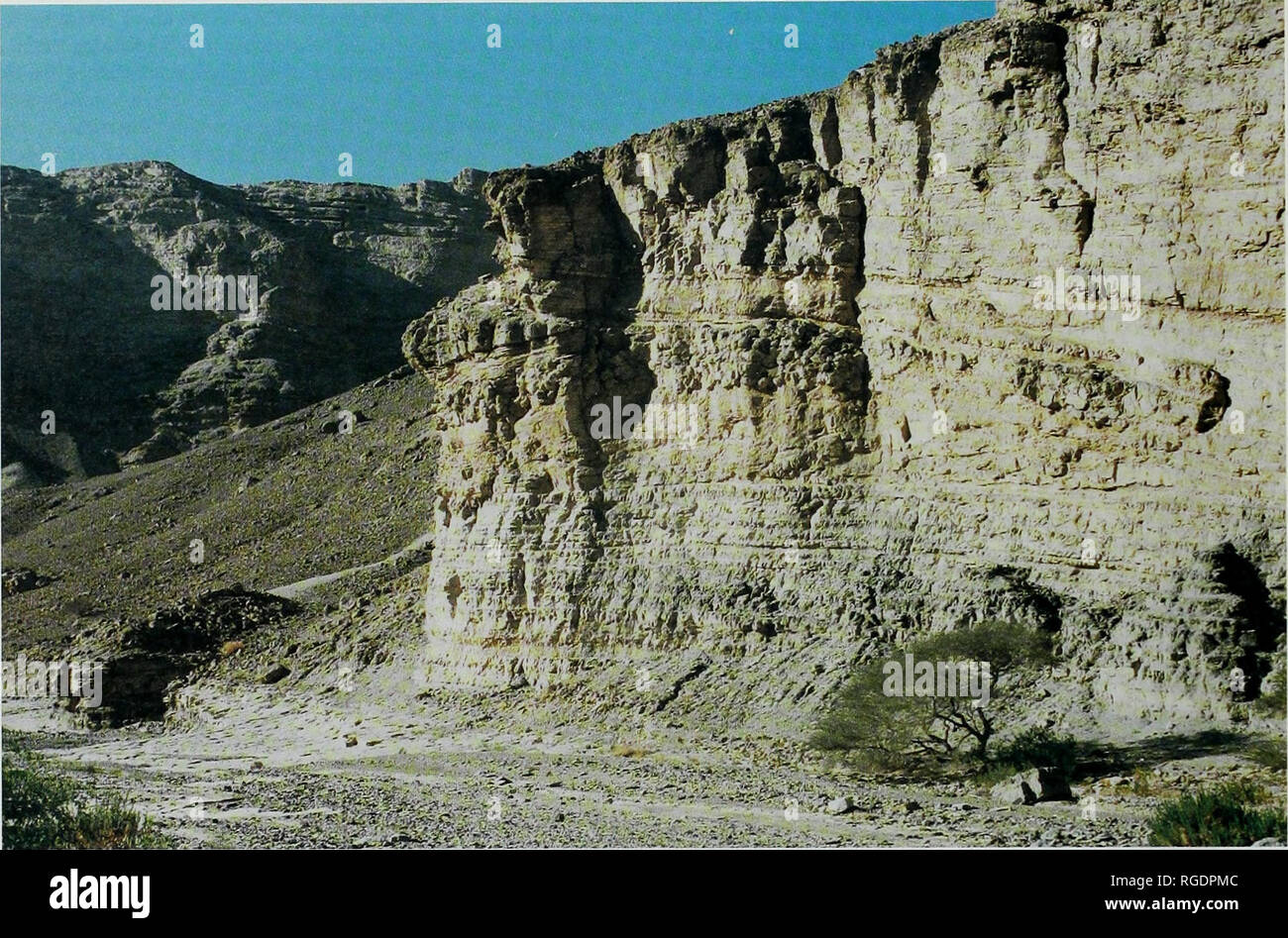 . Bulletin of the Natural Histort Museum. Geology series. M.K. HOWARTH AND N.J. MORRIS. Fig. 13 Cliff section on the west side of Wadi Arus; the upper part of the Bilium Member forms the low chff at bottom left, while its top bed forms the limestone platform at the base of the main cliff; the disconformity between the Kilya and Arus Members occurs half way up the face of the main cliff (see Fi&quot;. 15 for details. Please note that these images are extracted from scanned page images that may have been digitally enhanced for readability - coloration and appearance of these illustrations may no Stock Photo