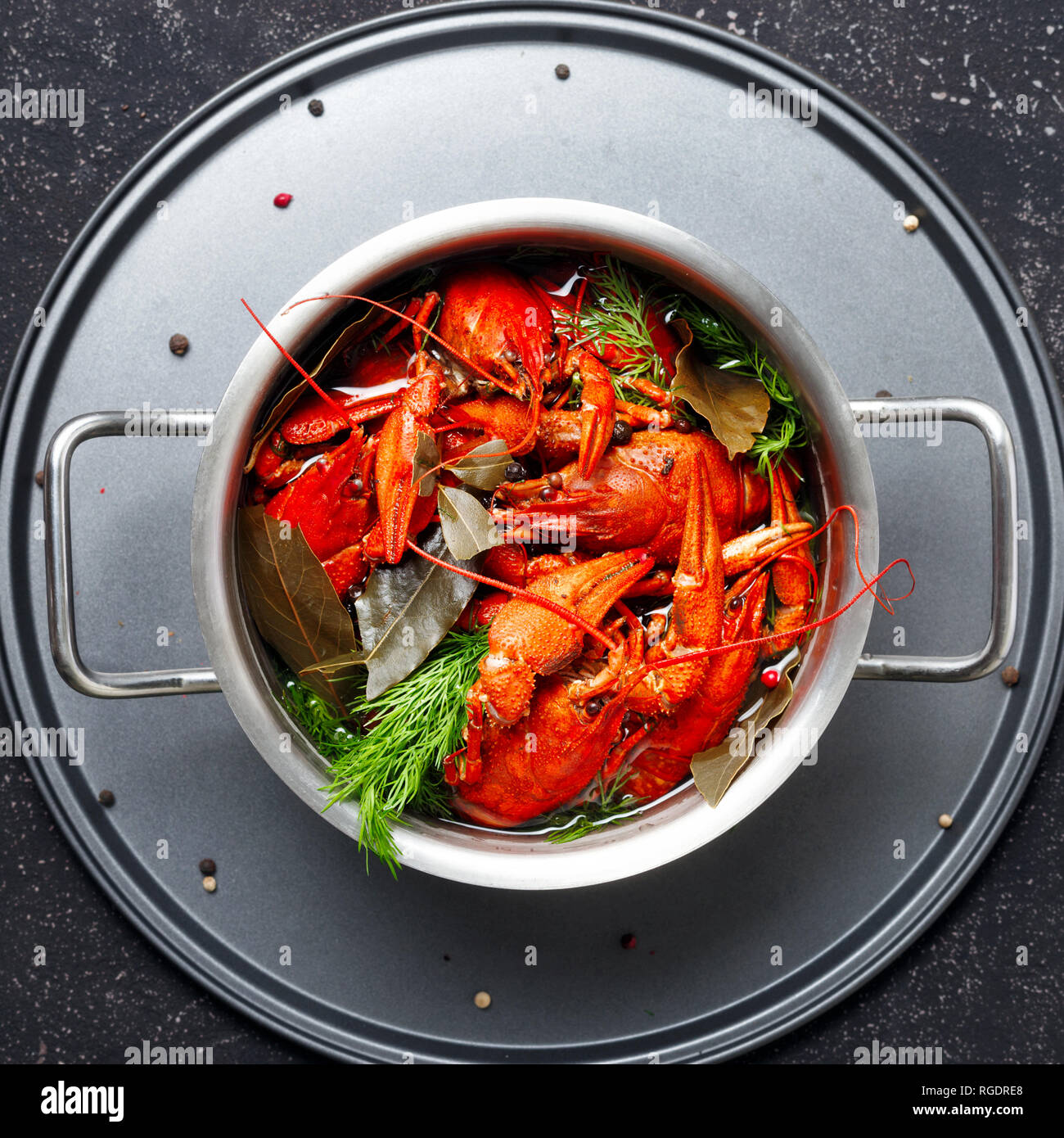 Boiled crawfish with dill and bay leaf in saucepan on black background