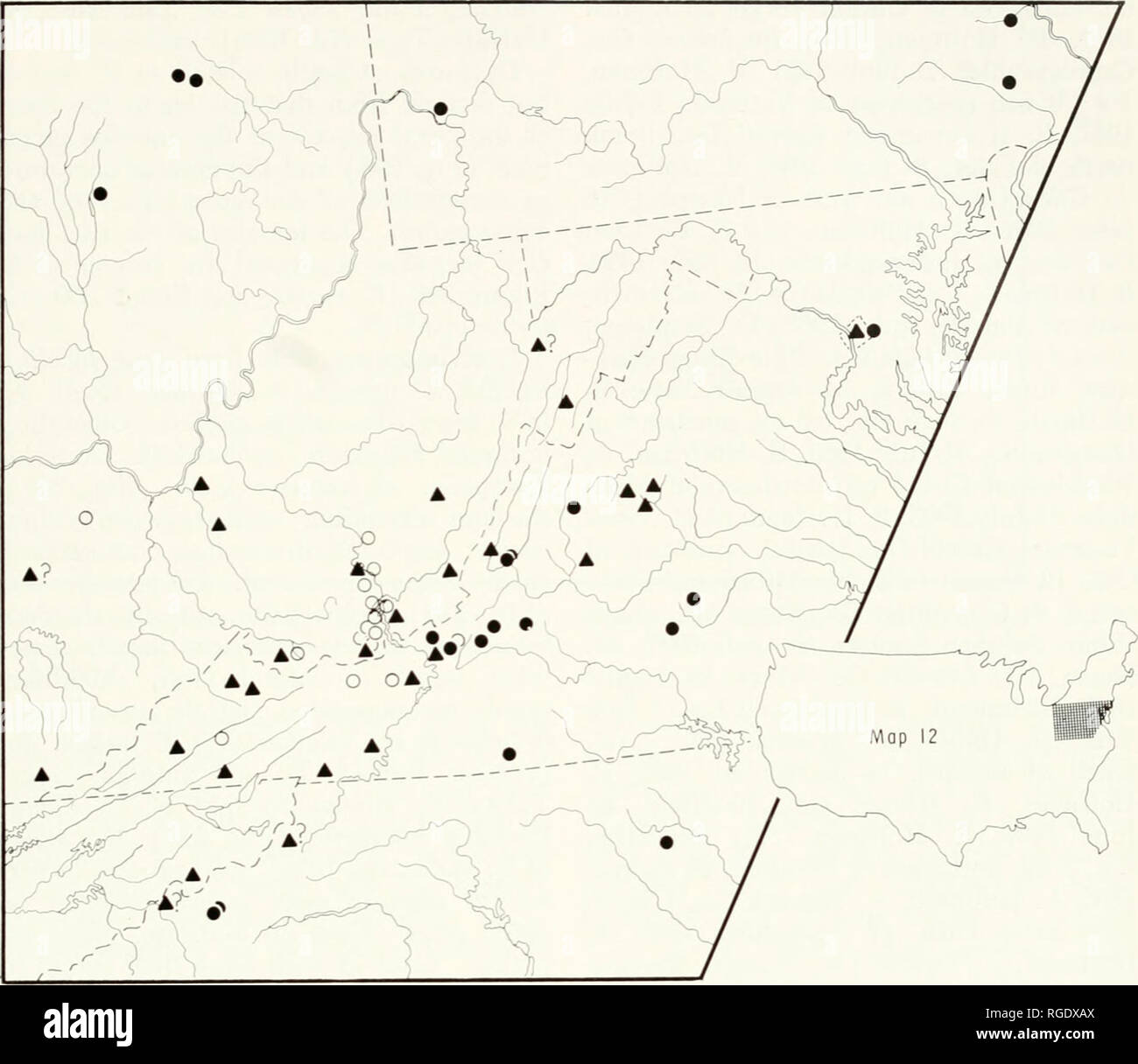 . Bulletin of the Museum of Comparative Zoology at Harvard College. Zoology. Studies in Chordeumida • Shear 225. Map 12. West Virginia and parts of ad|acent states, showing distribution of species of Cleidogona. Dots, C. coes/oonnu/oto; circles, C. fustis; triangles, C. major. Cleidogona fustis fios also been reported from Indiana and Ohio. broadly expanded apicalK', large and mo able. Posterior gonopods (Fig. 295): tpical of group, basal knob of coxa lo', rounded; widest part of second segment just beyond midlength. Coxa 10 and 11 and sternal process 12 as usual. Description of fenmle fro Stock Photo