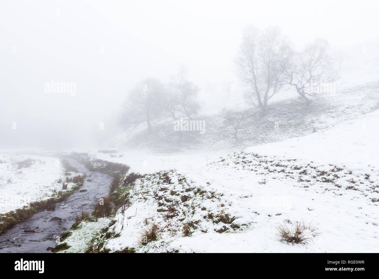 Wintry view of stream and trees in misty/foggy conditions Stock Photo