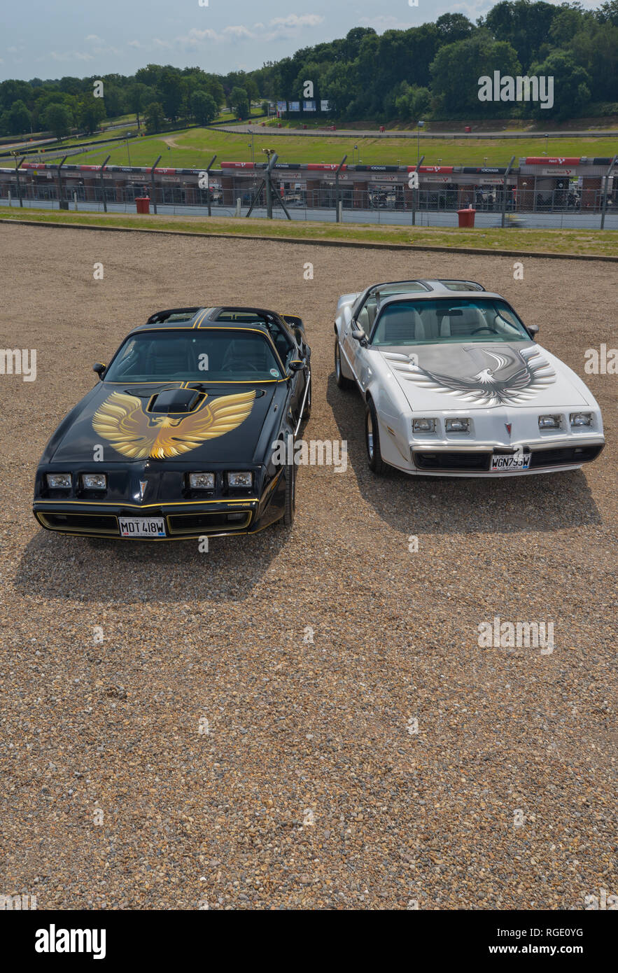 Black 1980 Pontiac Trans Am and white 1981 Trans Am Turbo - classic American sports cars Stock Photo