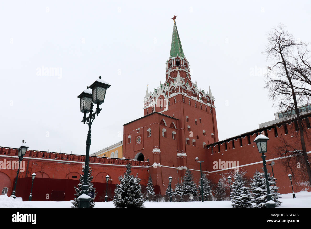 Moscow Kremlin and snow covered fir trees in overcast day, scenic view. Troitskaya tower with red star and vintage street lantern in the Alexander gar Stock Photo
