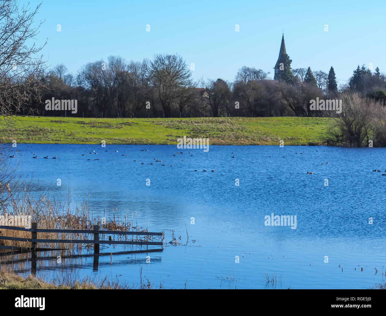 View over a lake in Staveley Nature Reserve to the church in Staveley village, North Yorkshire, England Stock Photo