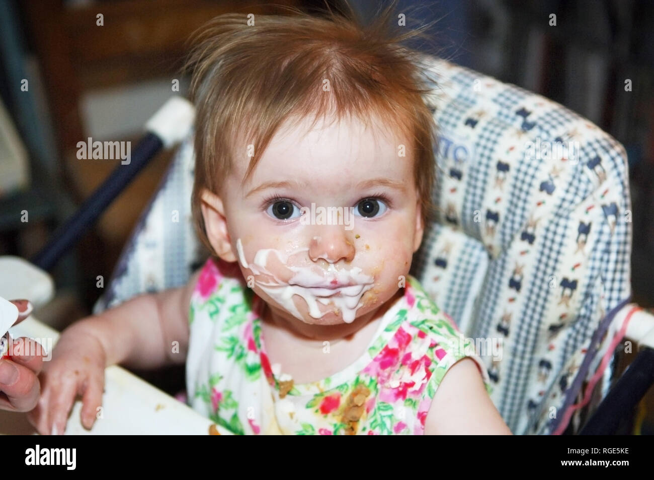 baby girl looking fed-up covered in food uk Stock Photo