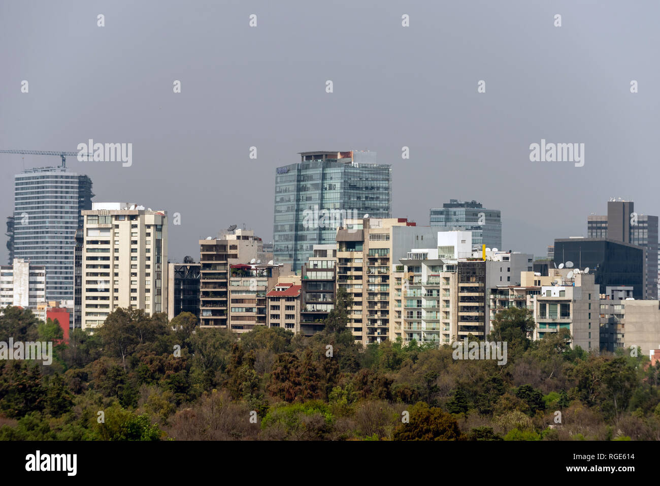 View across the city from Chapultepec Park in Mexico City Stock Photo