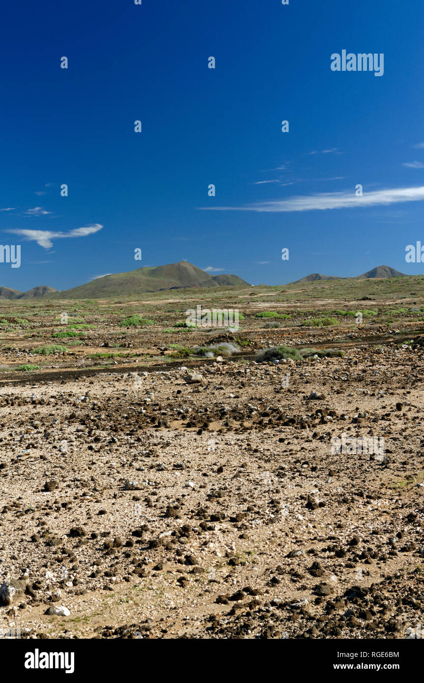 Desert playa hi-res stock photography and images - Alamy, image size:863x1390