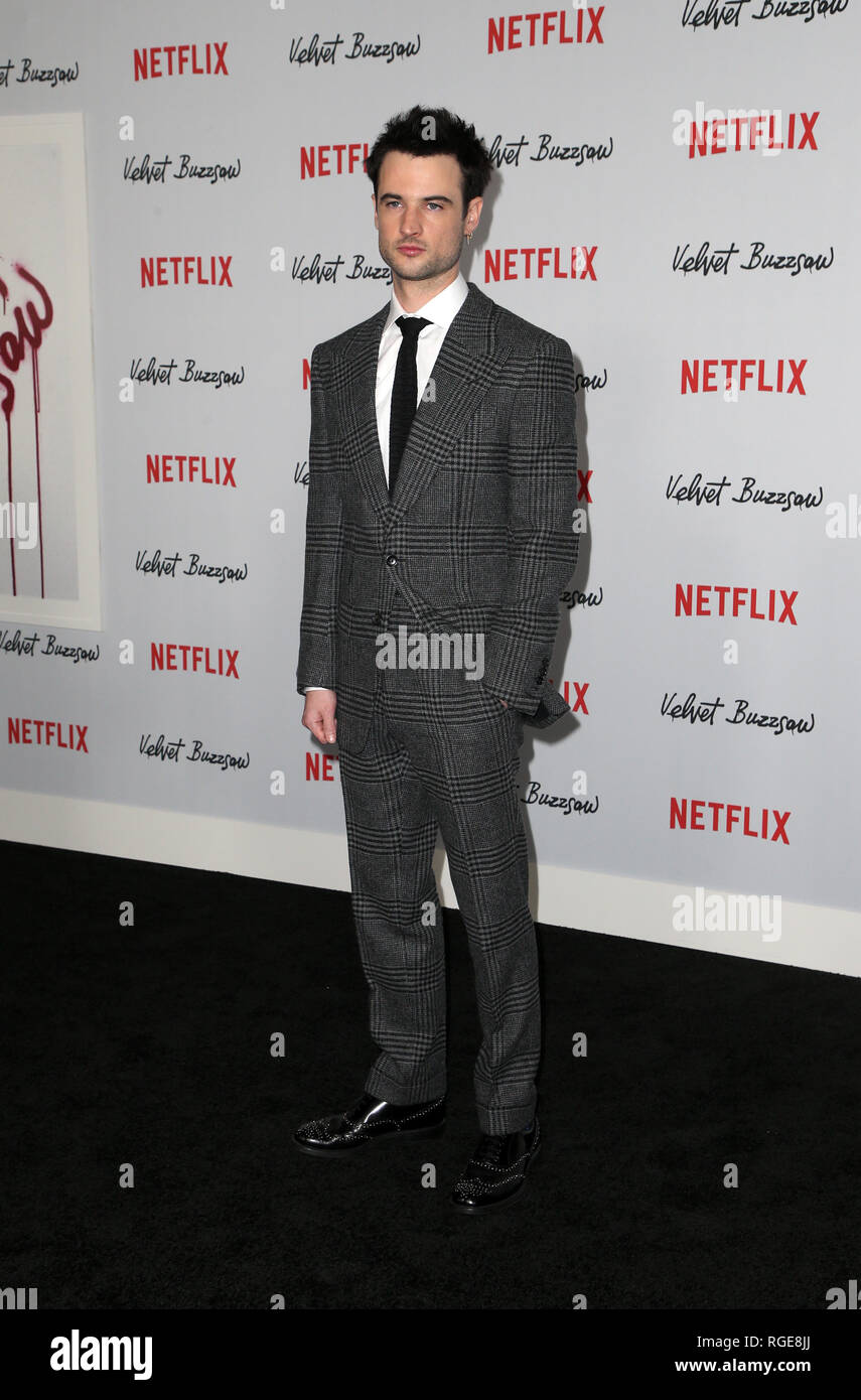 Hollywood, Ca. 28th Jan, 2019. Tom Sturridge, at the Velvet Buzzsaw Premiere Screening at The Egyptian Theatre in Los Angeles, California on January 28, 2019. Credit: Faye Sadou/Media Punch/Alamy Live News Stock Photo