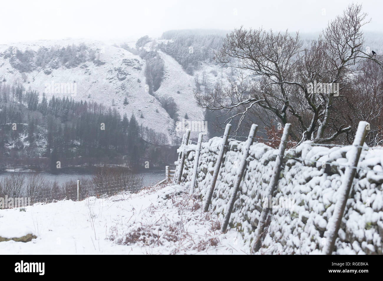 Thirlmere, Keswick, Cumbria. 29th Jan 2019. UK Weather: General view during the snowy conditions at Thirlmere, Keswick, Cumbria, UK. 29th January 2019. Photograph by Richard Holmes. Credit: Richard Holmes/Alamy Live News Stock Photo