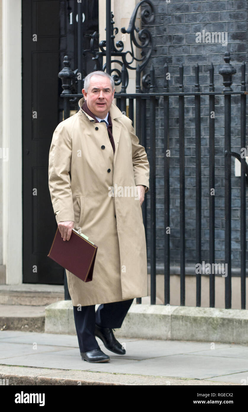 London, UK. 29th January, 2019. Ministers leave the weekly cabinet meeting at 10 Downing street before an series of important votes on the future of Brexit in Parliament. Geoffrey Cox Credit: PjrFoto/Alamy Live News Stock Photo