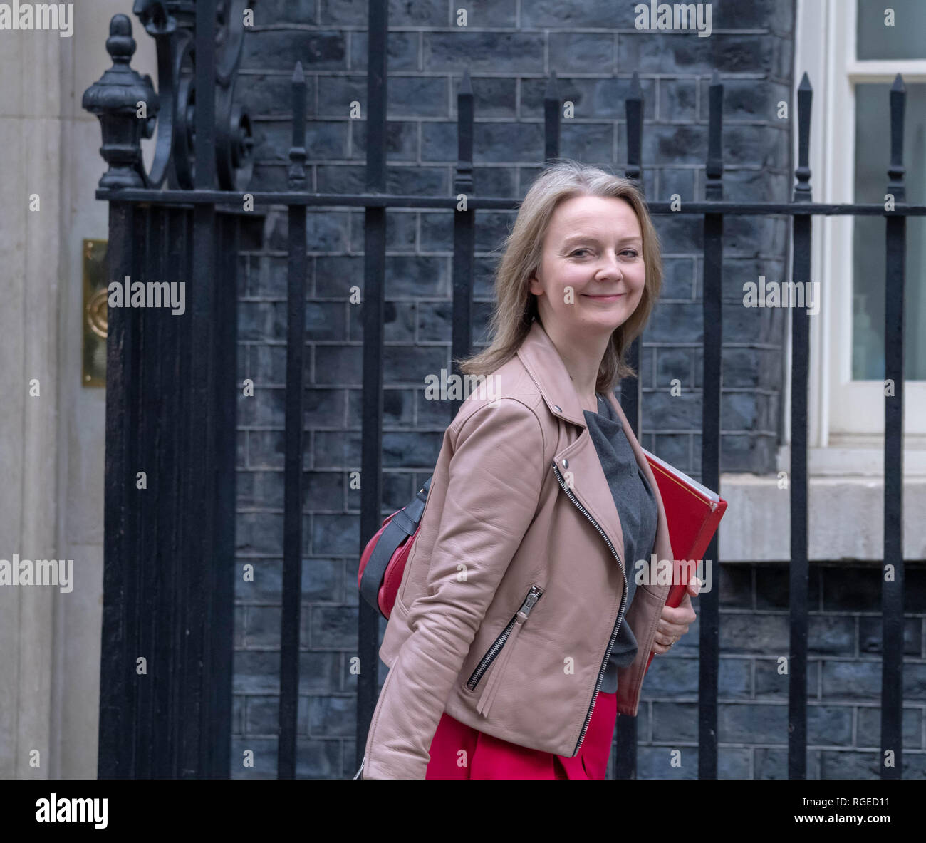 London, UK. 29th January, 2019. leaves a Cabinet meeting at 10 Downing Street, London Credit Ian Davidson/Alamy Live News Stock Photo