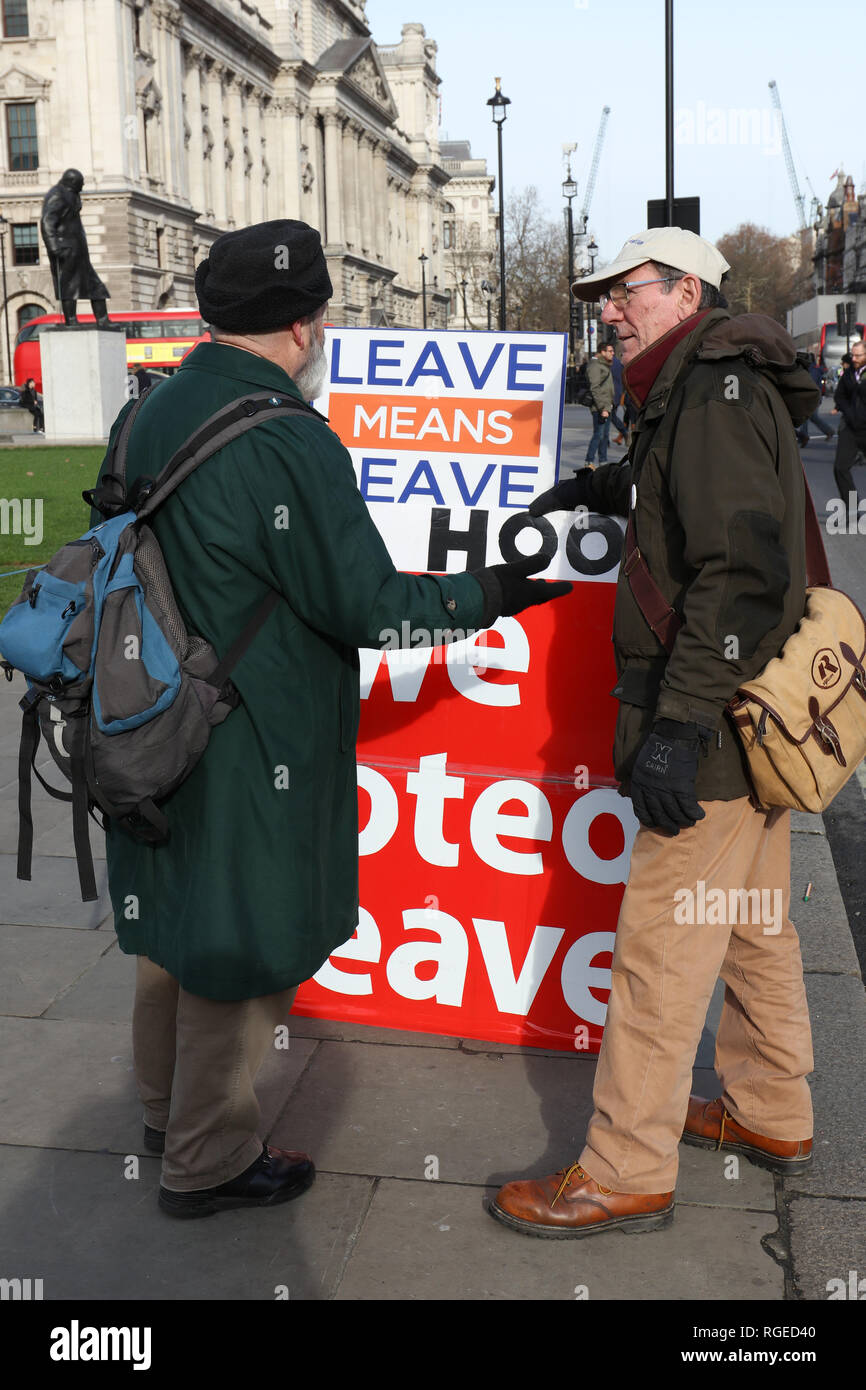 London, UK. 29th January 2019. Leave campaigner in discussion with a passerby, Parliament Square , London, UK. Credit: Joe Kuis /Alamy Live News Stock Photo