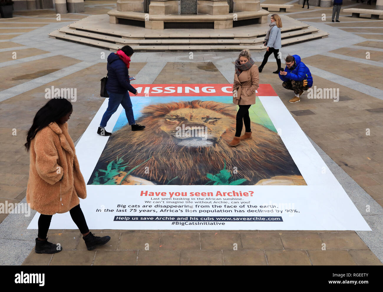 London Uk 29th January 2019 Now You See Me Now You Don T